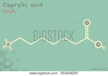 Large And Detailed Infographic Of The Molecule Of Caprylic Acid.
