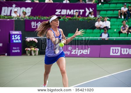 다니엘 Hantuchova 반환 공 실행