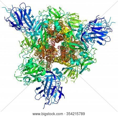 3d Structure Of The 2019-ncov Novel Coronavirus Spike Protein, A Potential Target For Vaccine And Th