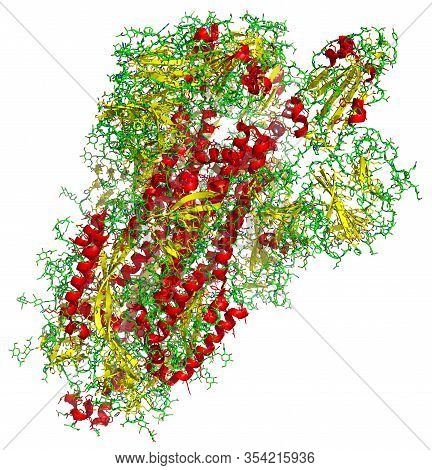 3d Structure Of The 2019-ncov Novel Coronavirus Spike Protein, A Potential Target For Vaccine And Th
