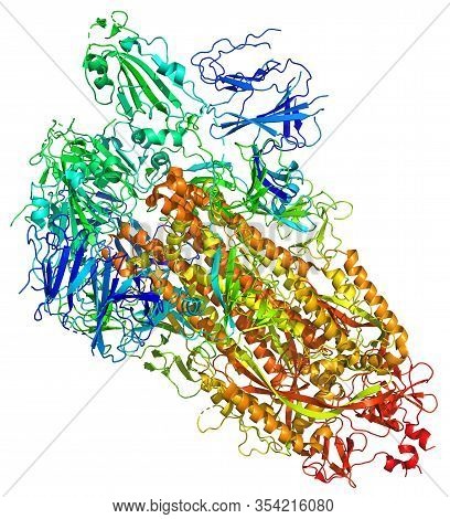 3d Structure Of The 2019-ncov Novel Coronavirus Spike Protein, A Potential Target For Vaccine And Th
