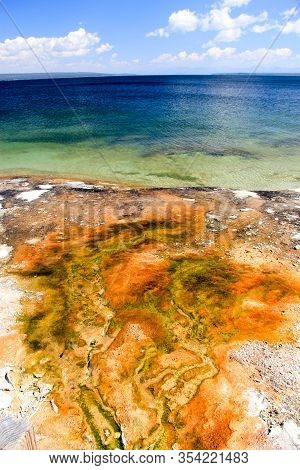 Colorful Shore Of Lake Yellowstone, Yellowstone National Park, Wyoming