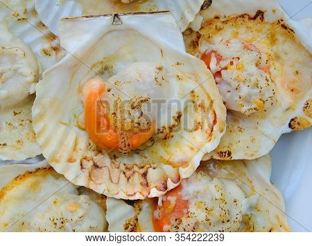 Grilled Scallops Shell With Butter And Cheese. Thai Seafood Grilled Scallops On White Plate.
