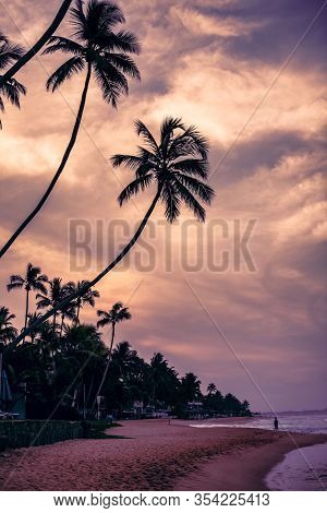 Silhouette Of Palm Trees On The Sandy Shore Of The Indian Ocean With Beautiful Clouds On The Sky Sun