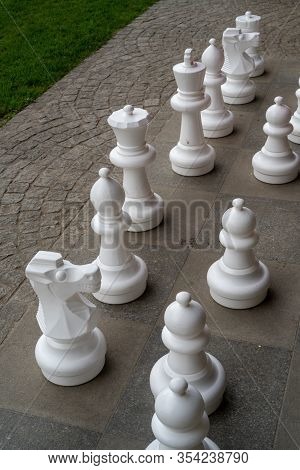 Plastic Chess Pieces Outside Next To A Green Meadow