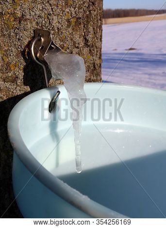 Close-up Of Frozen Sap That Was Dripping From Metal Spile Into A Blue Pail