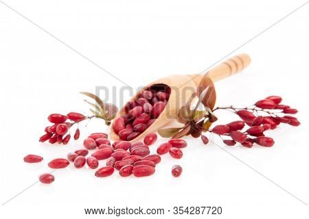 Wooden spoon with ripe red berries of barberry and branch of berberry isolated on white background