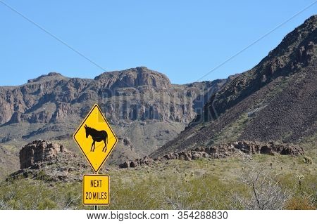 Wild Burros Sign In The Black Mountain Range, Sonoran Desert, Arizona Usa