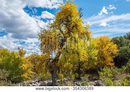 A Beautiful Overlooking View Of Nature In Benson, Arizona