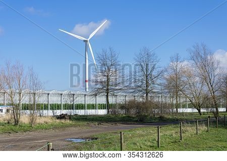 A Large Greenhouse For Tomatoes With A Windmill For Wind Energy