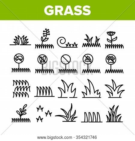 Grass Meadow Plant Collection Icons Set Vector. Garden Natural Glass With Mark Non-feet, No Animal, 
