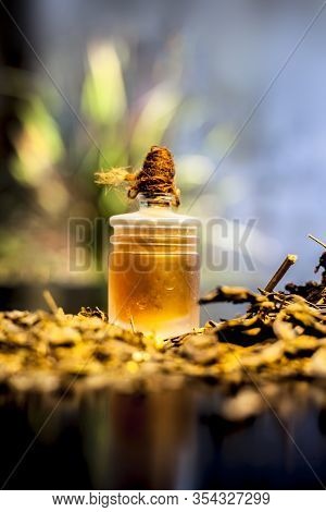 Close Up Of Shankhpushpi Roots On The Wooden Surface Along With Some Of Its Powder And Oil With It. 
