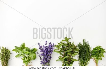 gardening, ethnoscience and organic concept - bunches of greens, spices or medicinal herbs on white background