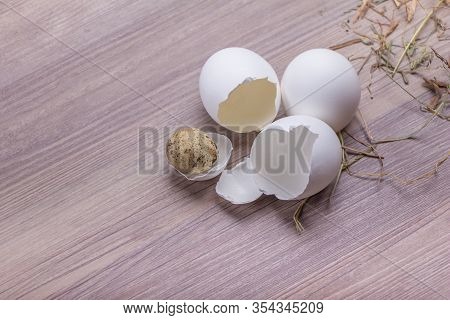 Beautiful Chicken And Quail Easter Eggs On Wooden Background. Happy Easter Basket Decoration Scene. 