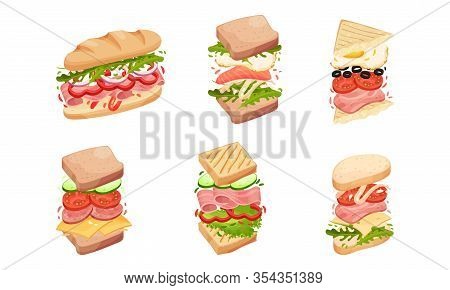 Sandwiches With Multiple Layers Isolated On White Background Vector Set