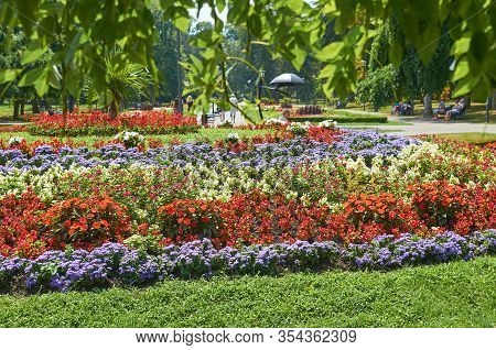 Flowers Decoration In Blossom In A Public Park In Summer