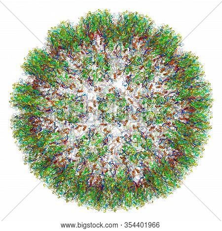 3d Molecular Structure Of Human Papillomavirus Type 16, Associated With Various Cancers And Other Di