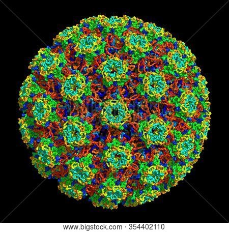 3d Molecular Structure Of Human Papillomavirus Type 16, Associated With Various Cancers And Other Di