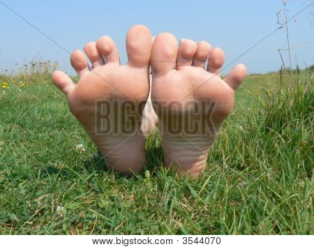 Legs On Grass