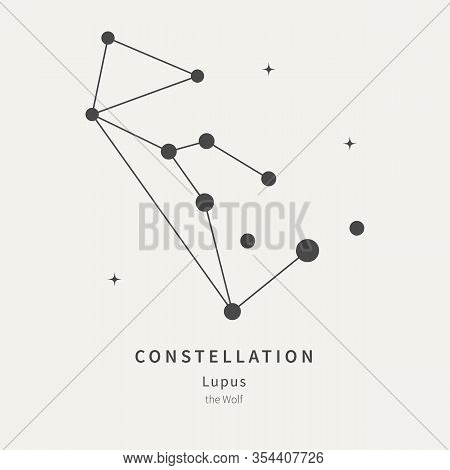 The Constellation Of Lupus. The Wolf - Linear Icon. Vector Illustration Of The Concept Of Astronomy.