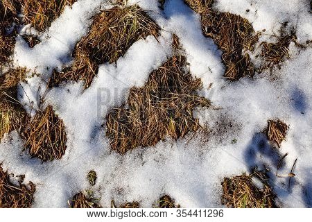 The Snow Is Almost Gone. Through The Thaw Of Snow Dry Grass Is Visible. Early Spring
