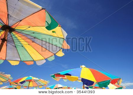 Barevný slunečník