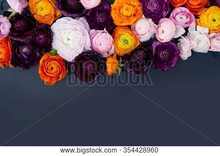 Ranunculus Flowers Border On Minimal Black Background With Copy Space