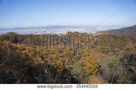 Suspension Bridge In Deciduous Forest During Autumn Foliage, Hoshi No Buranko, Hoshida, Katano, Osak