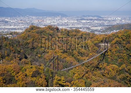 Suspension Bridge In Deciduous Forest During Autumn Foliage, Hoshi No Buranko, Hoshida, Katano, Osak