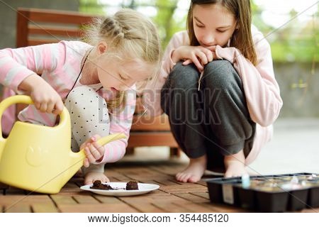 Two Cute Young Sisters Planting Flowers And Vegetables In Small Biodegradable Seedling Pots. Childre