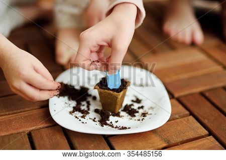 Close-up Of Children's Hands Planting Flowers And Vegetables In Small Biodegradable Seedling Pots. C