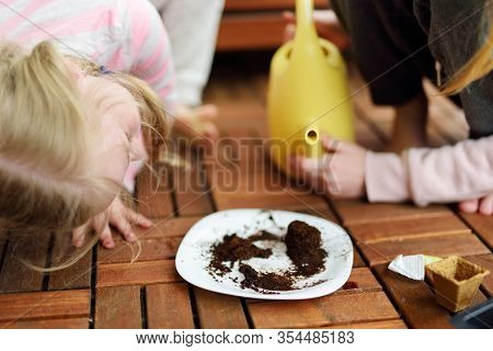 Two Cute Young Sisters Planting Flowers And Vegetables In Small Biodegradable Seedling Pots. Childre