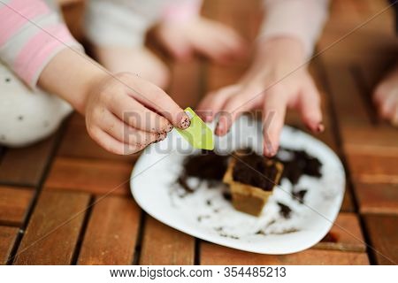 Close-up Of Children's Hands Planting Flowers And Vegetables In Small Biodegradable Seedling Pots. C