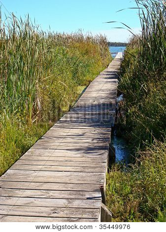 Path