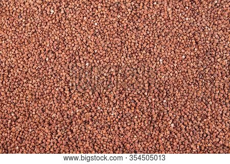 Background Of Buckwheat Sprinkled In An Even Layer. Texture Of Natural Natural Materials.