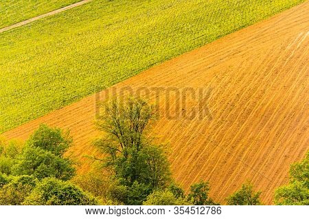 Vineyards Sulztal Famous Destination Wine Street Area South Styria , Wine Country In Spring. Tourist