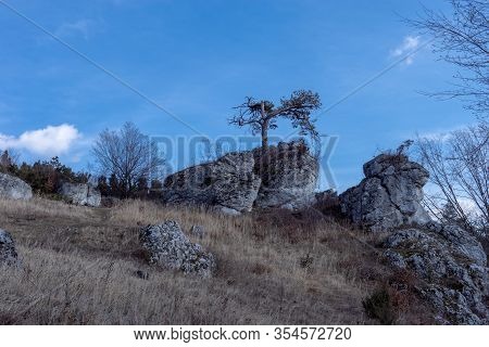 Góra Zborów (berkowa Góra) - A Rocky Hill Within The Village Of Podlesice In The Śląskie Voivodeship