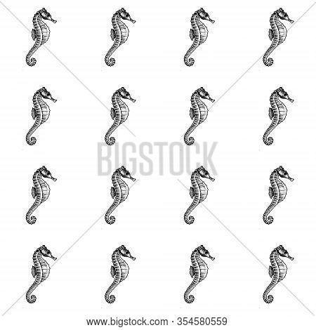 Sea Horse Seamless Pattern. Hand Drawn Doodle Outline Hippocampus Background For Wrapper, Banner, Sc