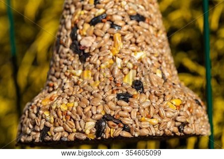 Bell From Various Grains, A Delicacy For All The Birds In The Garden