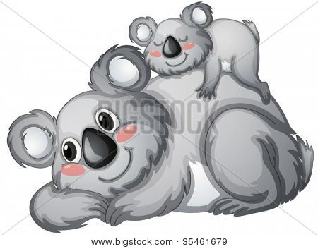 illustration av en koala Björn på en vit backgroundbackground
