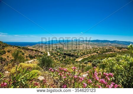 Panoramic view from above on the forests of Evia island  with the sea on the horizon on a sunny day. Evia . Greece. 