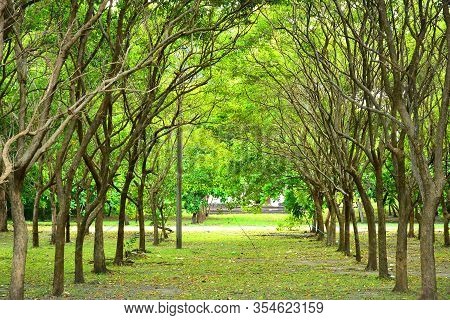Corregidor Island Surrounding Trees In Cavite, Philippines. Corregidor Is An Island Located At The E