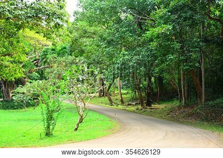 Path Way In Corregidor Island, Cavite, Philippines