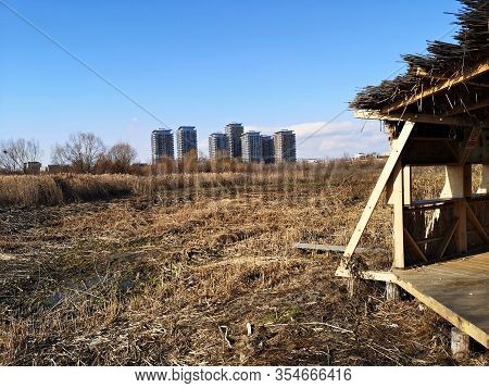 Birdwaching Tower - Nature Observation Cabin In The Vacaresti Delta