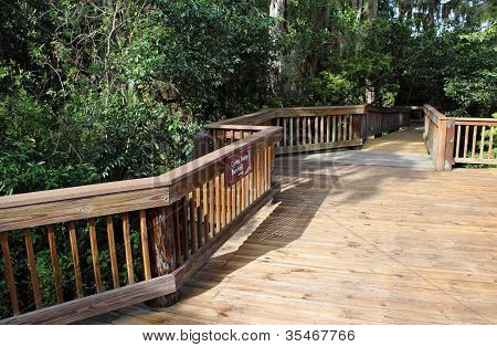 Cypress Boardwalk