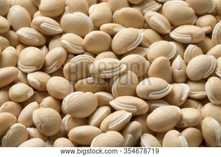 Background of dried Hyacinth beans close up full frame