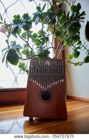 Wooden Brown Kalimba And Indoor Plants With Window