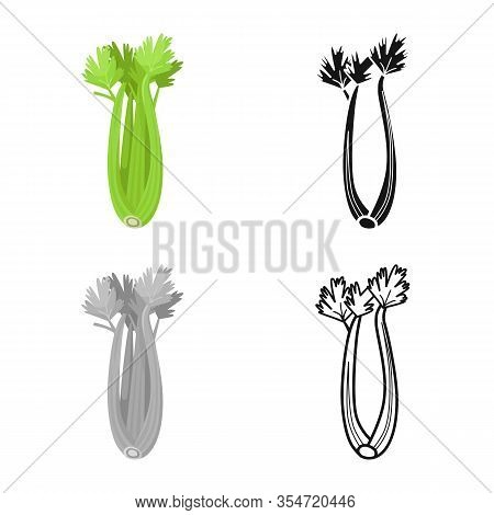 Vector Design Of Celery And Bunch Symbol. Graphic Of Celery And Stick Vector Icon For Stock.
