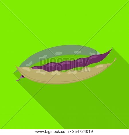 Bean Of Pod Vector Icon.flat Vector Icon Isolated On White Background Bean Of Pod.