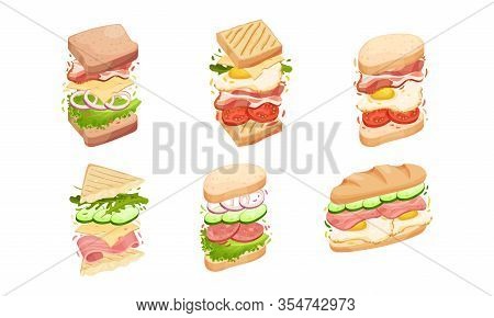 Sandwiches With Multiple Layers Isolated On White Background Vector Set